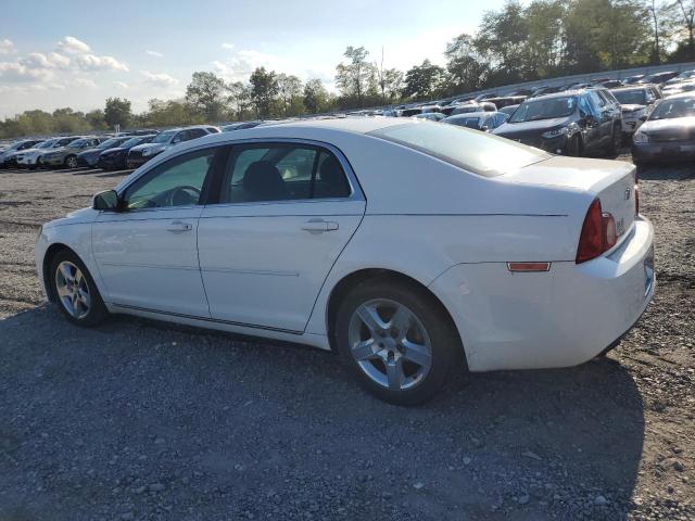 1G1ZC5E03AF220888 - 2010 CHEVROLET MALIBU 1LT 白色 照片 2