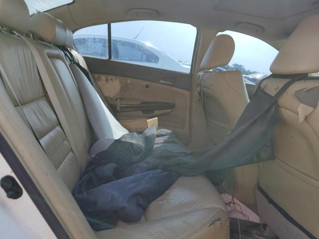 1HGCP36868A012006 - 2008 HONDA ACCORD EXL WHITE photo 10