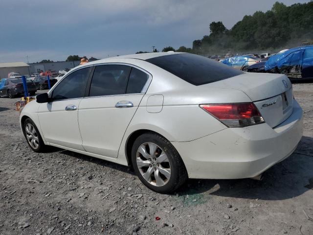 1HGCP36868A012006 - 2008 HONDA ACCORD EXL WHITE photo 2