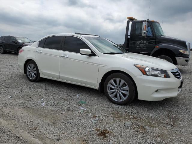 1HGCP3F88BA004805 - 2011 HONDA ACCORD EXL 白色 照片 4