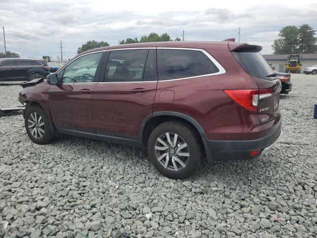 5FNYF6H37KB063443 - 2019 HONDA PILOT EX BURGUNDY photo 2