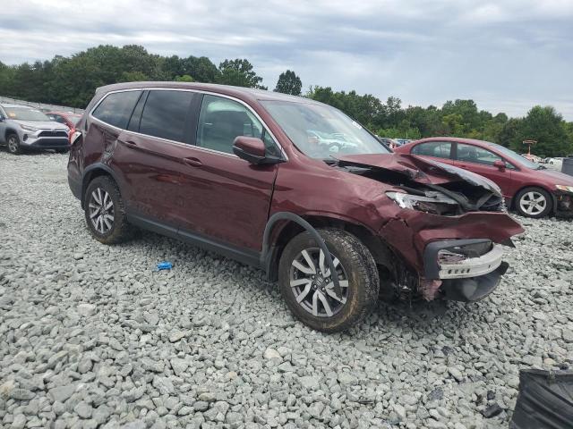5FNYF6H37KB063443 - 2019 HONDA PILOT EX BURGUNDY photo 4