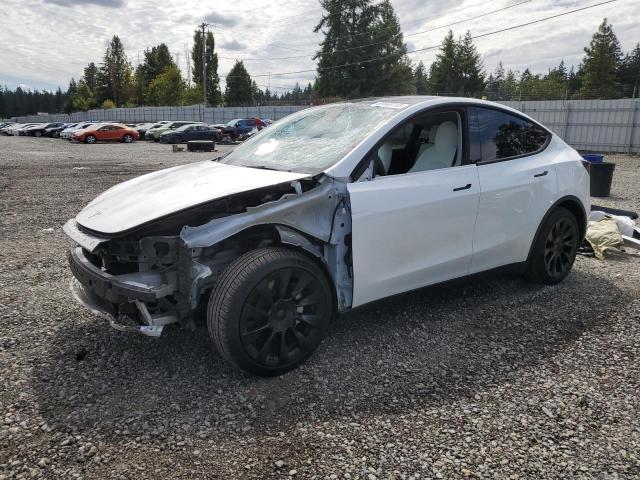 2022 TESLA MODEL Y, null