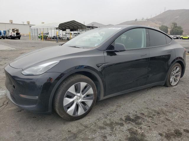 2023 TESLA MODEL Y, 