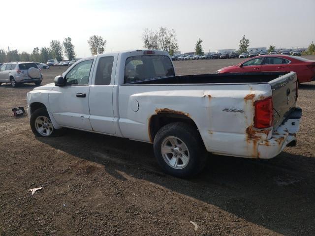 1D7RW3BK7AS164511 - 2010 DODGE DAKOTA SXT WHITE photo 2