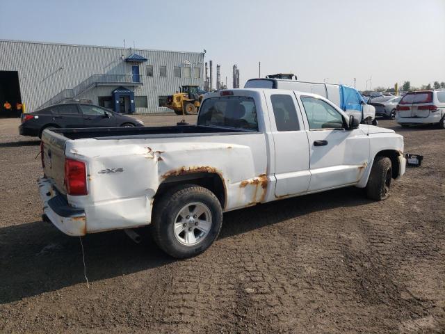 1D7RW3BK7AS164511 - 2010 DODGE DAKOTA SXT WHITE photo 3