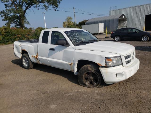 1D7RW3BK7AS164511 - 2010 DODGE DAKOTA SXT WHITE photo 4