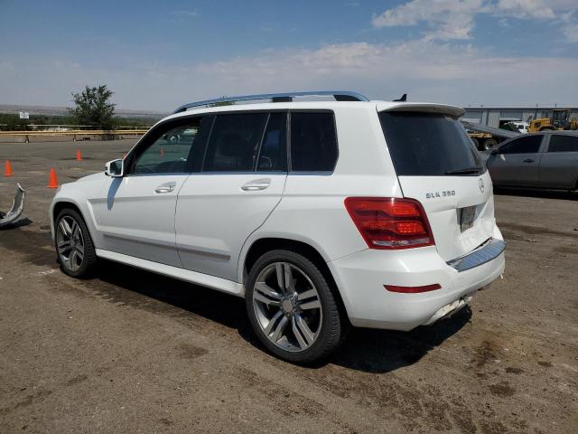 WDCGG8JB2DG072463 - 2013 MERCEDES-BENZ GLK 350 4MATIC WHITE photo 2
