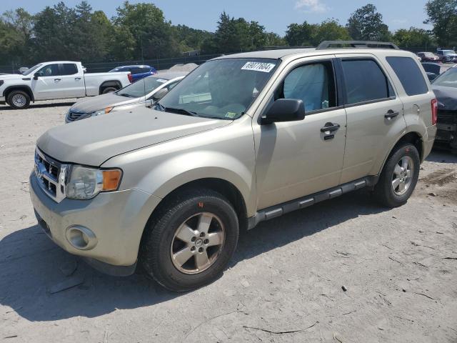 2011 FORD ESCAPE XLT, 