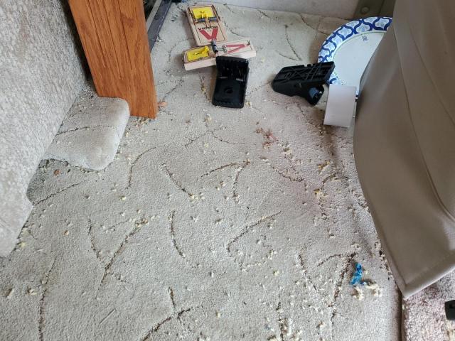 1RF12061422016233 - 2002 ROADMASTER RAIL DYANASTER Коричневий фото 9