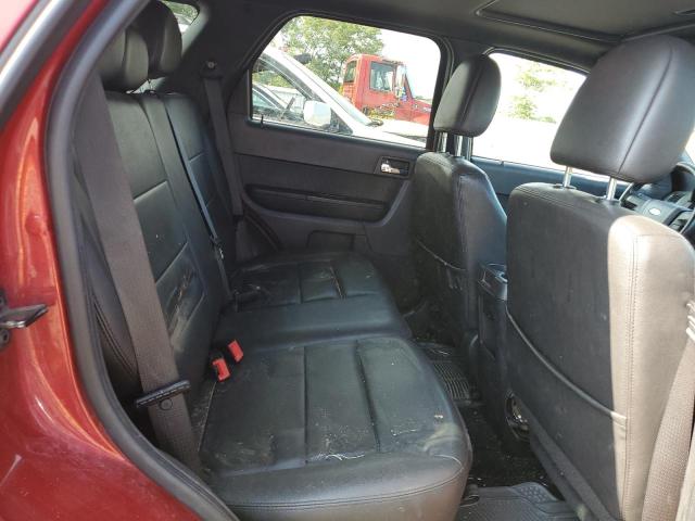 1FMCU9EG8BKB95120 - 2011 FORD ESCAPE LIMITED მუქწითელი ფოტო 11