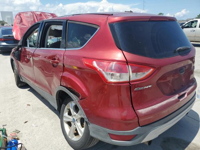 2013 FORD ESCAPE SE, 