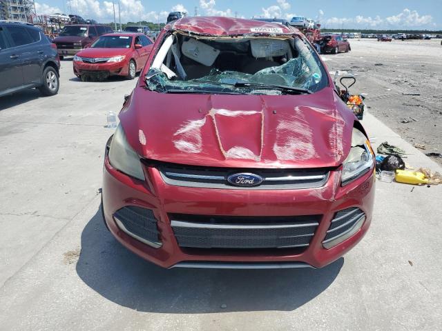 1FMCU0GX5DUD07498 - 2013 FORD ESCAPE SE 红色 照片 5