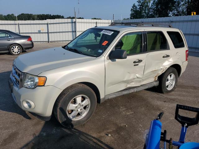 2009 FORD ESCAPE XLT, 
