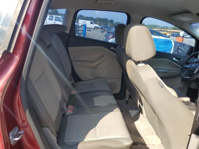 1FADP5AU8DL508836 - 2013 FORD C-MAX SE RED photo 11