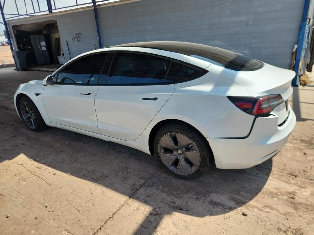 5YJ3E1EA5PF666692 - 2023 TESLA MODEL 3 Ağ foto 2