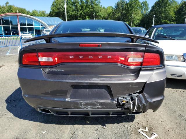 2C3CDXBG3EH366580 - 2014 DODGE CHARGER SE GRAY photo 6