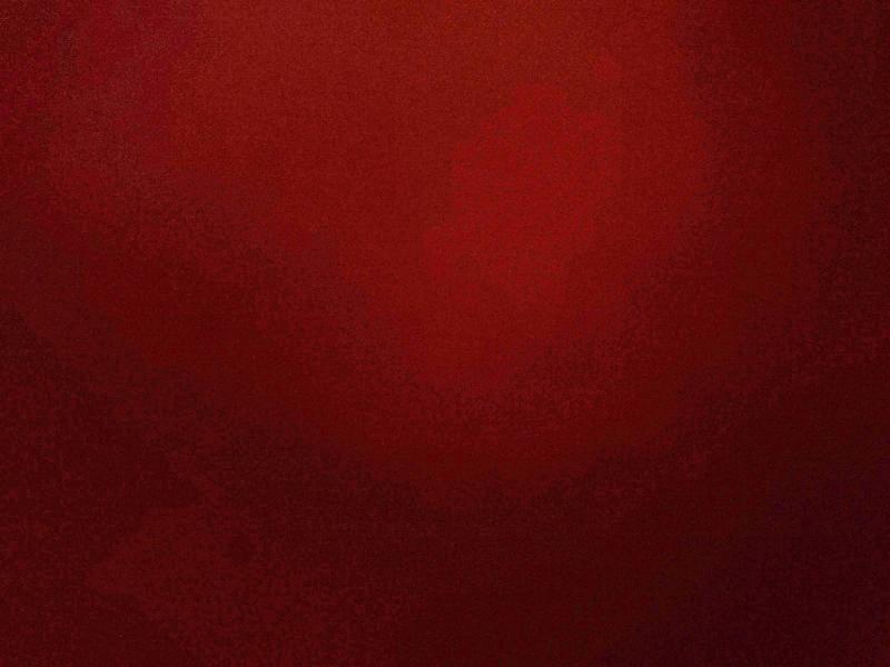 1G11B5SL9FF282656 - 2015 CHEVROLET MALIBU LS 白色 照片 12