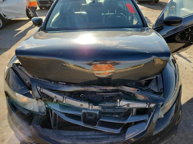 1HGCS2B81BA008077 - 2011 HONDA ACCORD EXL შავი ფოტო 11