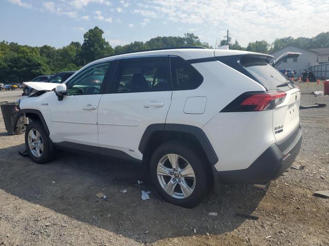 2T3RWRFV0MW128527 - 2021 TOYOTA RAV4 XLE WHITE photo 2