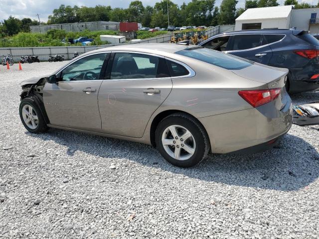 1G1ZC5STXRF233213 - 2024 CHEVROLET MALIBU LS თაფლისფერი ფოტო 2