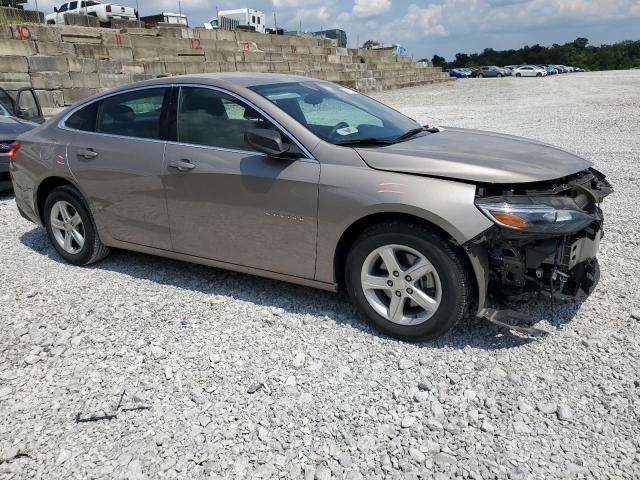 1G1ZC5STXRF233213 - 2024 CHEVROLET MALIBU LS თაფლისფერი ფოტო 4