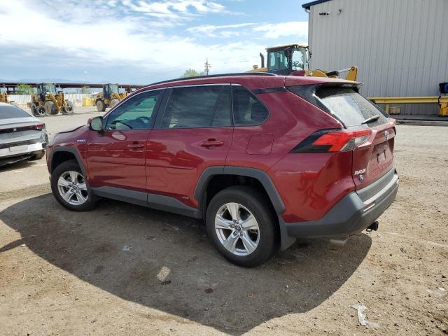 4T3RWRFVXLU004506 - 2020 TOYOTA RAV4 XLE RED photo 2