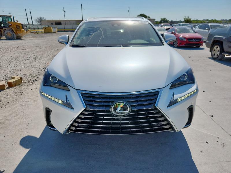 JTJDARBZ6M5028891 - 2021 LEXUS NX 300 BASE WHITE photo 5