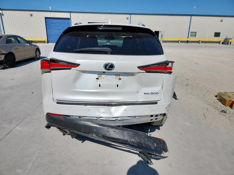 JTJDARBZ6M5028891 - 2021 LEXUS NX 300 BASE WHITE photo 6