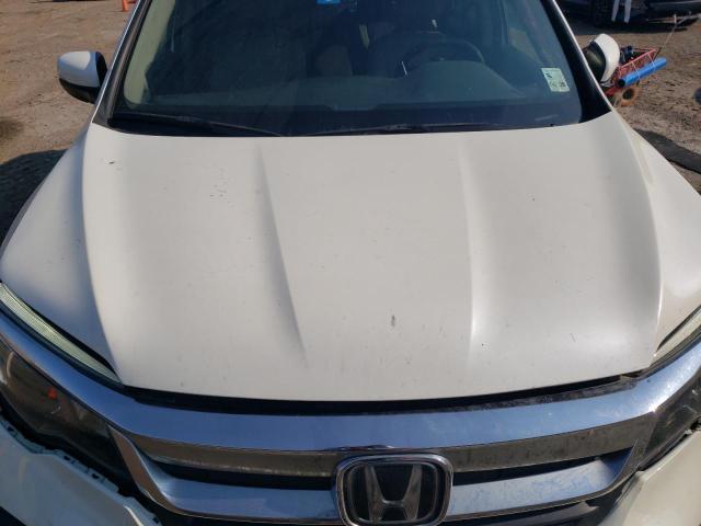 5FNYF5H31KB029119 - 2019 HONDA PILOT EX WHITE photo 12
