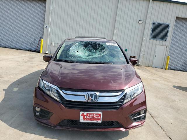 5FNRL6H77KB135385 - 2019 HONDA ODYSSEY EXL Bordo foto 5