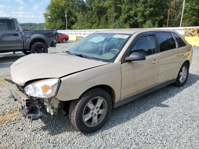 1G1ZT64884F165453 - 2004 CHEVROLET MALIBU MAXX LS GOLD photo 1