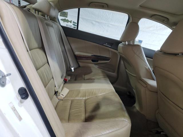 JHMCP26849C013913 - 2009 HONDA ACCORD EXL WHITE photo 10