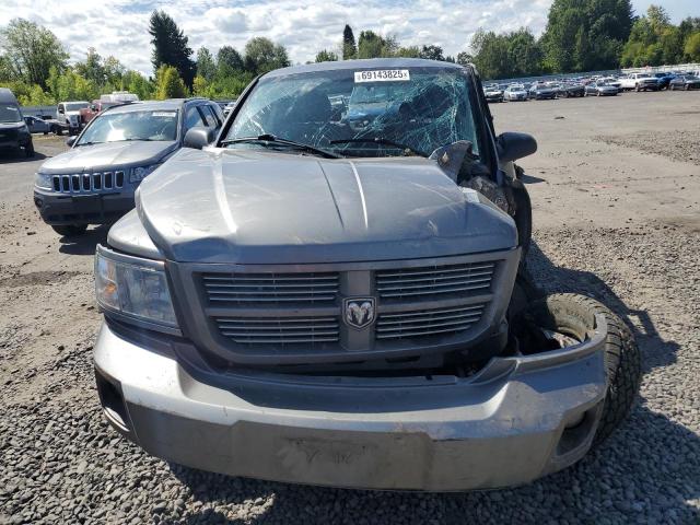 1D7RW3GP7BS685282 - 2011 DODGE DAKOTA SLT SILVER photo 5