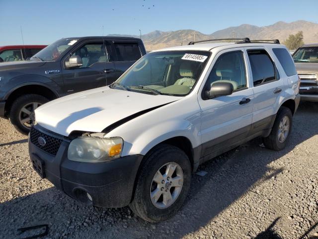 2007 FORD ESCAPE XLT, 
