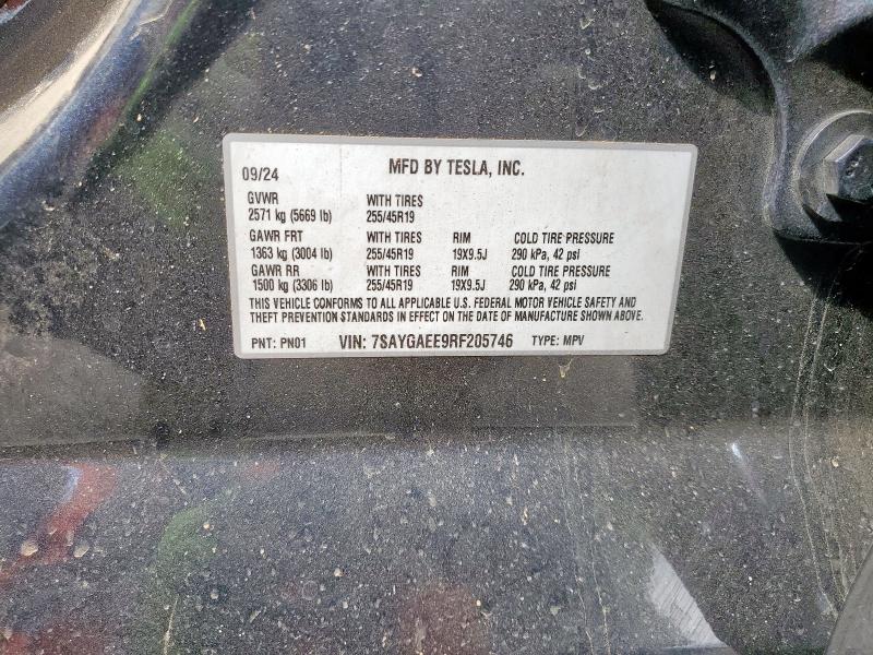 7SAYGAEE9RF205746 - 2024 TESLA MODEL Y Gris foto 12