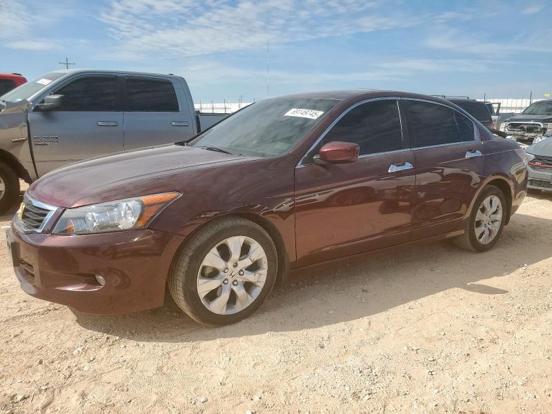 2008 HONDA ACCORD EXL, 