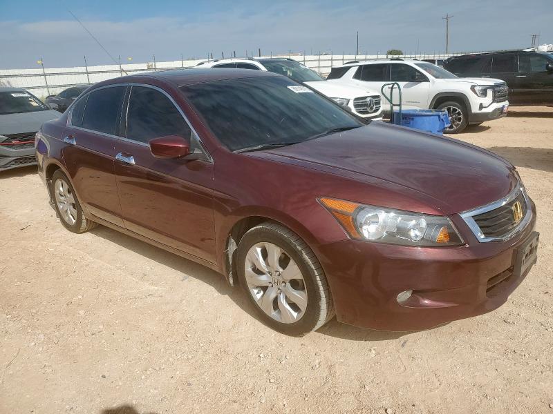 1HGCP36848A007094 - 2008 HONDA ACCORD EXL BURGUNDY photo 4