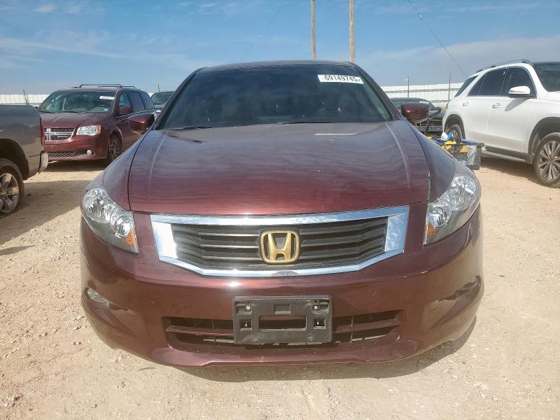 1HGCP36848A007094 - 2008 HONDA ACCORD EXL BURGUNDY photo 5
