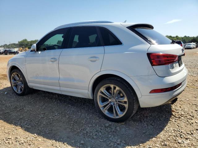 WA1BFCFSXGR010911 - 2016 AUDI Q3 PREMIUM PLUS WHITE photo 2