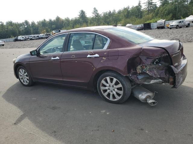 5KBCP3F81AB011830 - 2010 HONDA ACCORD EXL BURGUNDY photo 2