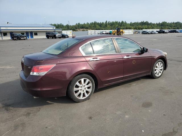 5KBCP3F81AB011830 - 2010 HONDA ACCORD EXL BURGUNDY photo 3