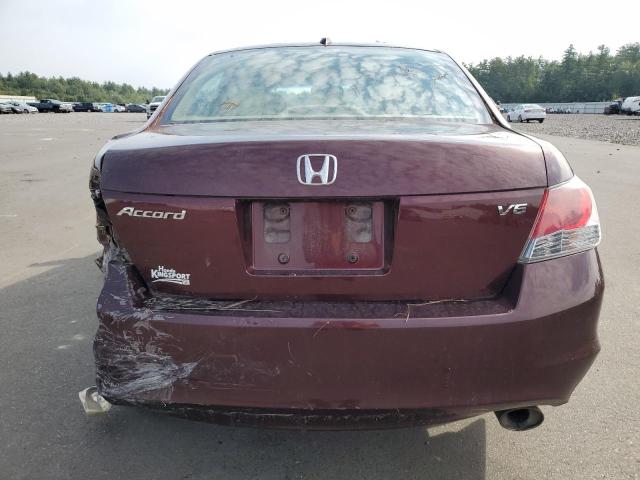 5KBCP3F81AB011830 - 2010 HONDA ACCORD EXL BURGUNDY photo 6