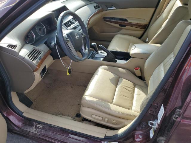 5KBCP3F81AB011830 - 2010 HONDA ACCORD EXL BURGUNDY photo 7