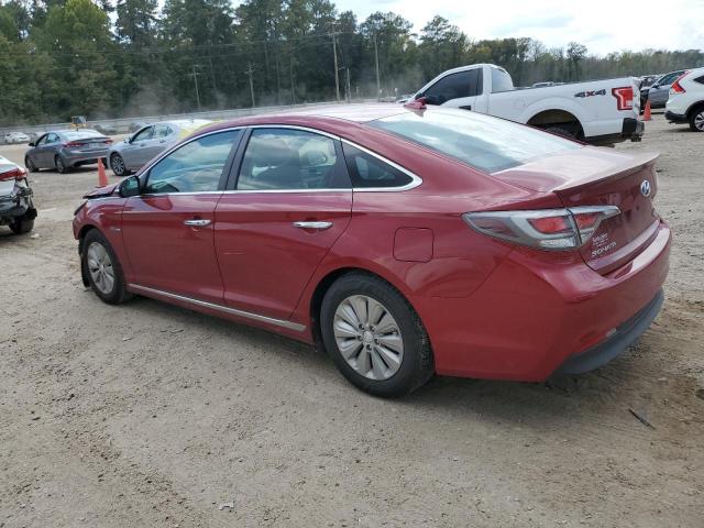 KMHE24L19GA015382 - 2016 HYUNDAI SONATA HYBRID RED photo 2