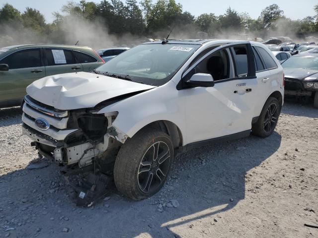 2FMDK3JC7EBB12124 - 2014 FORD EDGE SEL WHITE photo 1