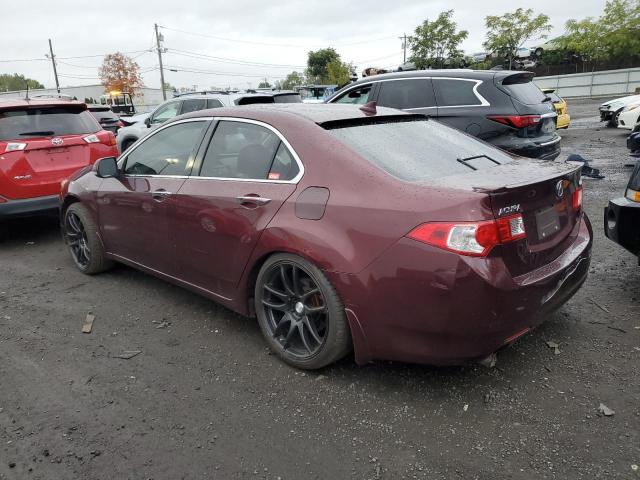 JH4CU26689C033704 - 2009 ACURA TSX MAROON photo 2