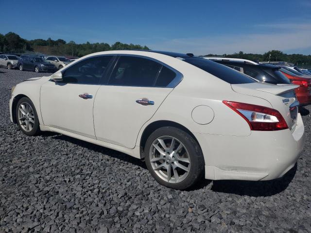 1N4AA5AP5AC838900 - 2010 NISSAN MAXIMA S WHITE photo 2