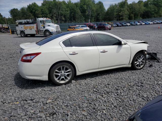 1N4AA5AP5AC838900 - 2010 NISSAN MAXIMA S WHITE photo 3