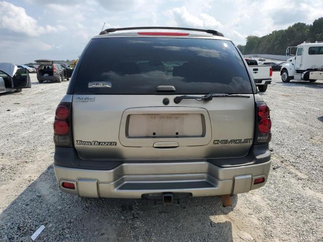 1GNDS13S132358996 - 2003 CHEVROLET TRAILBLAZE SILVER photo 6